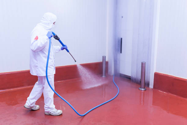 Best Factory Floor Cleaning  in Dinuba, CA